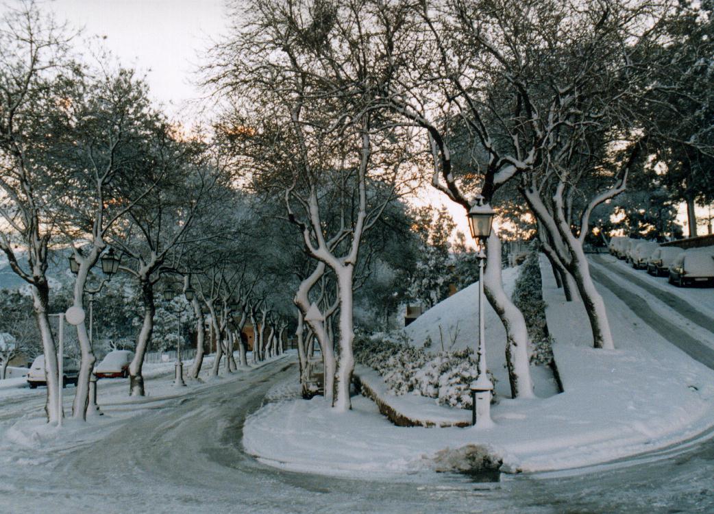 Viale Castello dopo la nevicata del '99