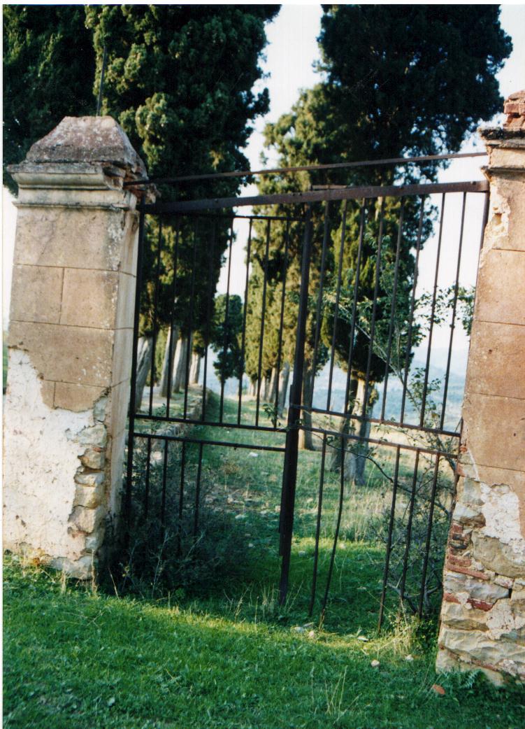 Viale dei cipressi