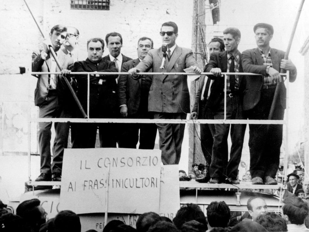 Il consorzio ai frassino cultori